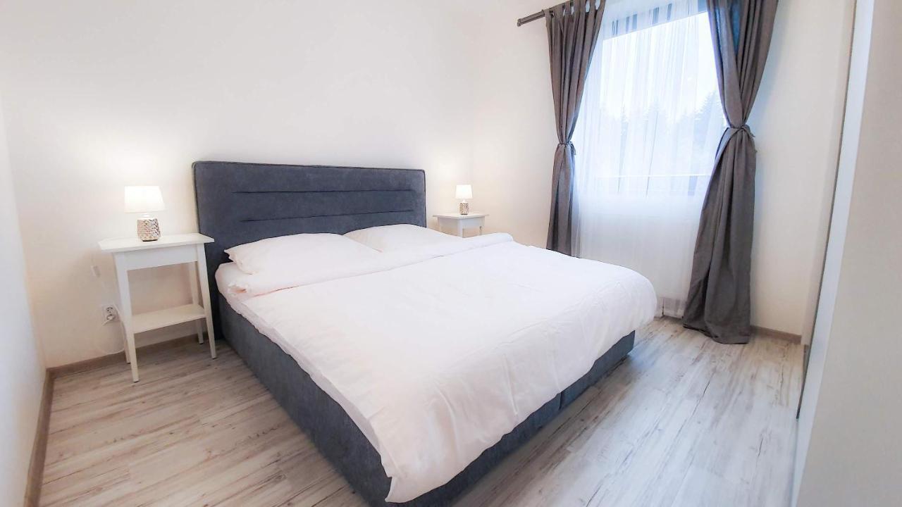 Apartment Mumlava 1 Harrachov