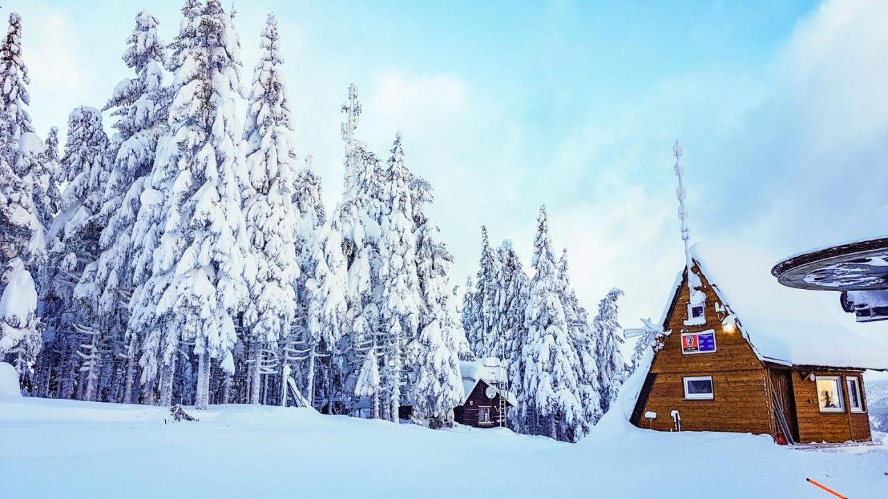 Mumlava 1 Apartment Harrachov